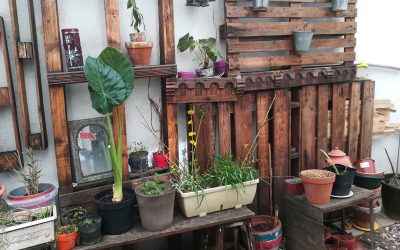 Jardin